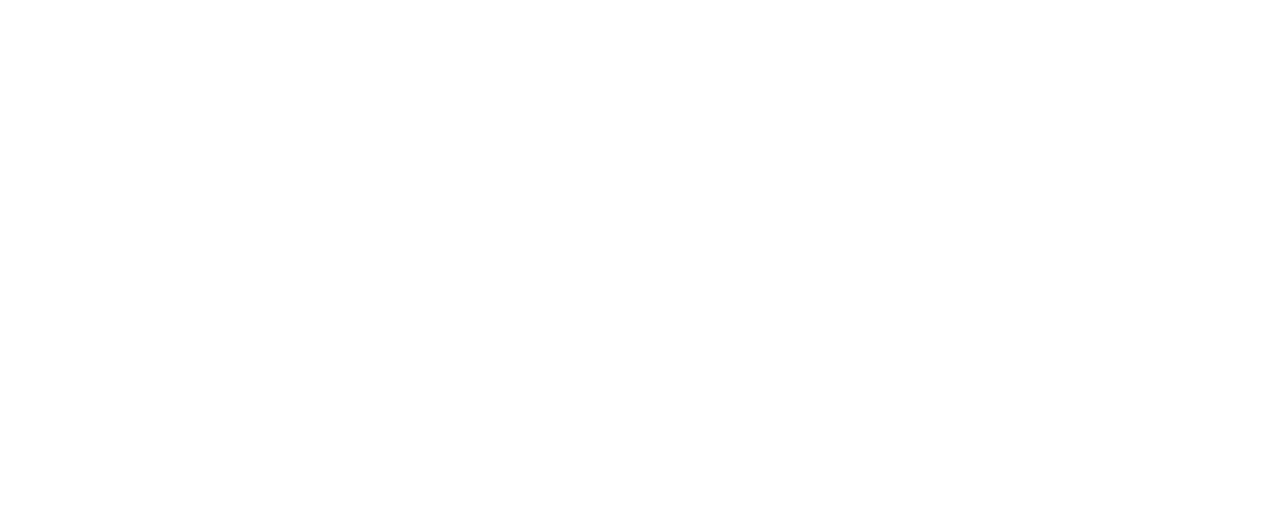 Vivier Carbajal
